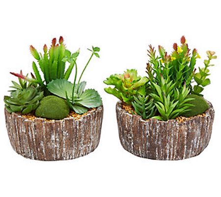 Pure Garden 2-Piece Faux Succulent with Concret e Planter