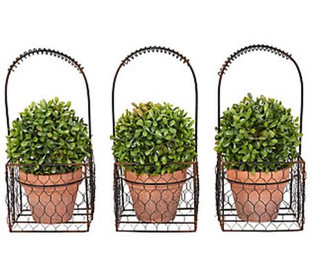 Pure Garden 3-Piece Faux Boxwood Round Topiary in Metal Basket