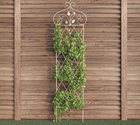 Pure Garden 63" Decorative Trellis for Climbing Plants