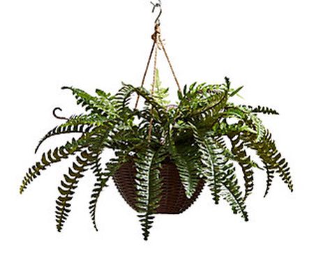 Pure Garden Lifelike Faux Boston Fern Arrangeme nt with Basket