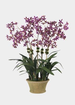 Purple Oncidium Orchid 5-Stem Arrangement In Moss Planter