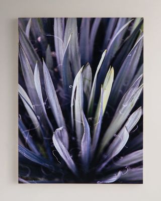 "Purple Succulent" Photography Print on Maple Box Framed Wall Art