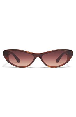 Quay Australia x Guizio Slate 37mm Gradient Cat Eye Sunglasses in Tortoise Dark Brown 