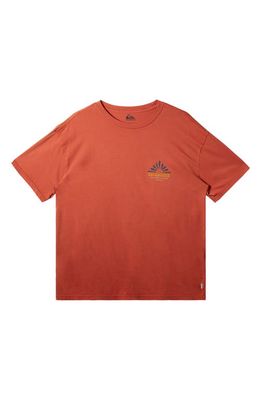 Quiksilver Bloom Organic Cotton Graphic T-Shirt in Baked Clay