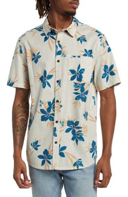 Quiksilver Holidazed Floral Short Sleeve Organic Cotton Button-Up Shirt in Birch