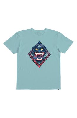 Quiksilver Kids' Dirty Paws Graphic T-Shirt in Pastel Turquoise