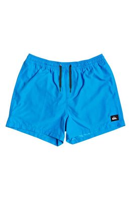 Quiksilver Kids' Everyday Volley Swim Trunks in Blithe