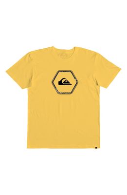 Quiksilver Kids' In Shapes Cotton Logo Graphic Tee in Snap Dragon