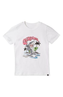 Quiksilver Kids' Washed Out Graphic T-Shirt in White