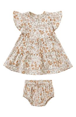 QUINCY MAE Lily Floral Flutter Sleeve Organic Cotton Dress & Bloomers in Garden