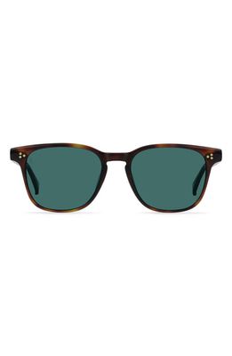 RAEN Alvez 50mm Polarized Square Sunglasses in Kola Tort/Pacifica