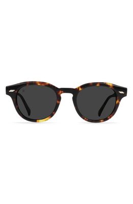 RAEN Kostin 48mm Polarized Round Sunglasses in Ristretto Tortoise/Smoke 