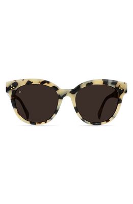 RAEN Kostin Nikol Polarized Square Sunglasses in Ivory Tortoise/Carob 