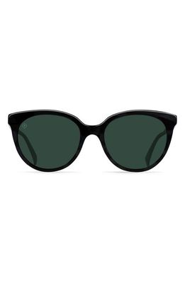 RAEN Lily 54mm Cat Eye Sunglasses in Crystal Black /Green Polar 