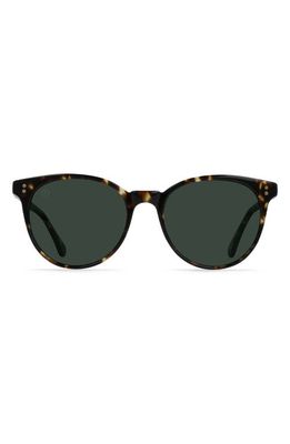 RAEN Norie 53mm Cat Eye Sunglasses in Brindle Tortoise /Green
