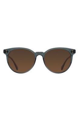 RAEN Norie 53mm Polarized Round Sunglasses in Slate/Vibrant Brown Polar