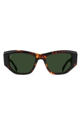 RAEN Ynez 54mm Mirrored Square Sunglasses in Ristretto Tortoise/Green