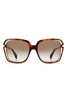rag & bone 57mm Square Sunglasses in Havana /Brown Gradient