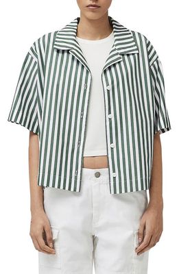 rag & bone Reed Stripe Boxy Cotton Button-Up Shirt in Green Stripe