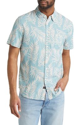 Rails Fairfax Palm Print Short Sleeve Cotton Button-Up Shirt in Palm Shadow Aqua