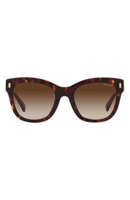 RALPH 52mm Gradient Oval Sunglasses in Shiny Hava