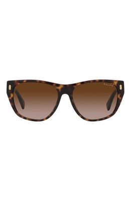 RALPH 55mm Gradient Irregular Sunglasses in Shiny Hava