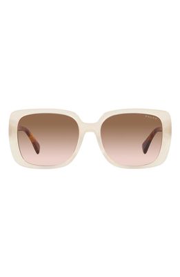 RALPH 55mm Gradient Rectangular Sunglasses in Cream