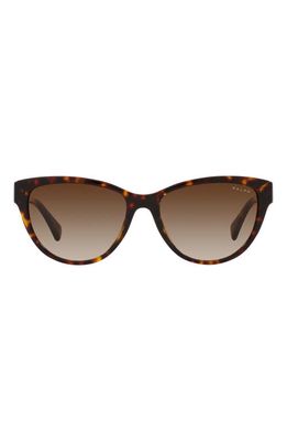 RALPH 56mm Gradient Oval Sunglasses in Shiny Hava