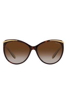 RALPH 59mm Gradient Cat Eye Sunglasses in Brown Gradient
