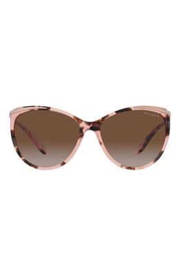 RALPH 59mm Gradient Polarized Cat Eye Sunglasses in Pink Havana