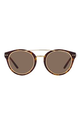 Ralph Lauren 49mm Round Sunglasses in Dark Havana/Brown