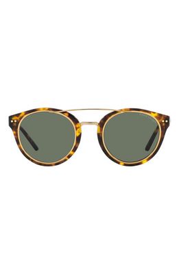 Ralph Lauren 49mm Round Sunglasses in Havana/Green