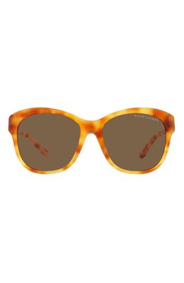Ralph Lauren 55mm Square Sunglasses in Lite Havana