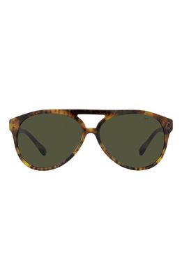 Ralph Lauren 59mm Aviator Sunglasses in Green