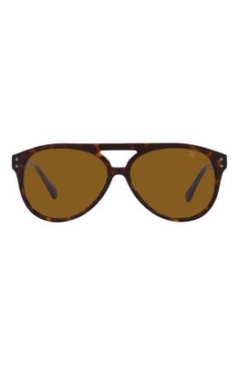 Ralph Lauren 59mm Aviator Sunglasses in Havana