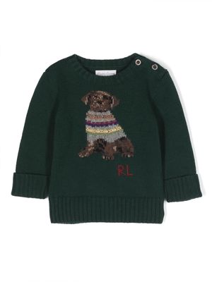 Ralph Lauren Kids dog-intarsia cotton-blend jumper - Green
