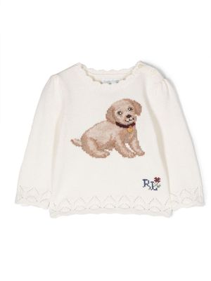 Ralph Lauren Kids Golden Labrador wool jumper - White