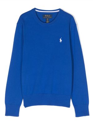 Ralph Lauren Kids Polo Pony-embroidered cotton jumper - Blue