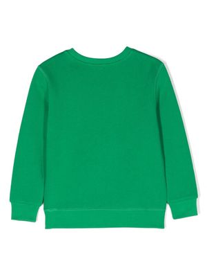 Ralph Lauren Kids Polo-Pony-embroidery sweatshirt - Green