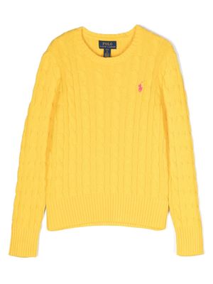 Ralph Lauren Kids Polo Pony-motif jumper - Yellow