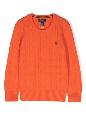 Ralph Lauren Kids Polo Ralph Lauren Kids Maglione - Orange