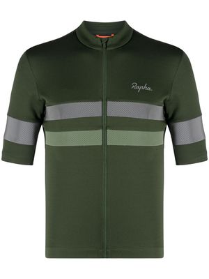 Rapha Brevet cycling jersey - Green