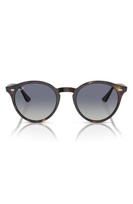 Ray-Ban 49mm Retro Sunglasses in Lite Havana