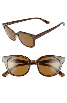 Ray-Ban 50mm Polarized Cat Eye Sunglasses in Havana/Dk Brown Polar