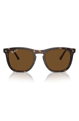 Ray-Ban 53mm Polarized Square Sunglasses in Havana