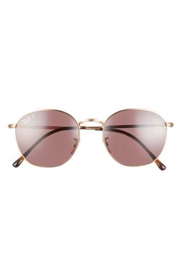 Ray-Ban 54mm Polarized Round Sunglasses in Arista/Dark Violet Polar