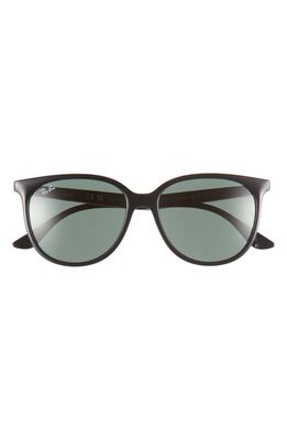 Ray-Ban 54mm Square Sunglasses in Black