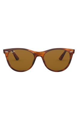 Ray-Ban 55mm Round Wayfarer Sunglasses in Striped Havana