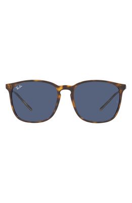 Ray-Ban 56mm Sunglasses in Brown/Dark Blue