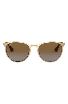 Ray-Ban Erika 54mm Polarized Sunglasses in Matte Gold